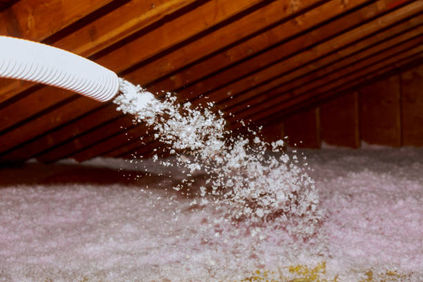 Best Blown-in Insulation  in Apollo, PA
