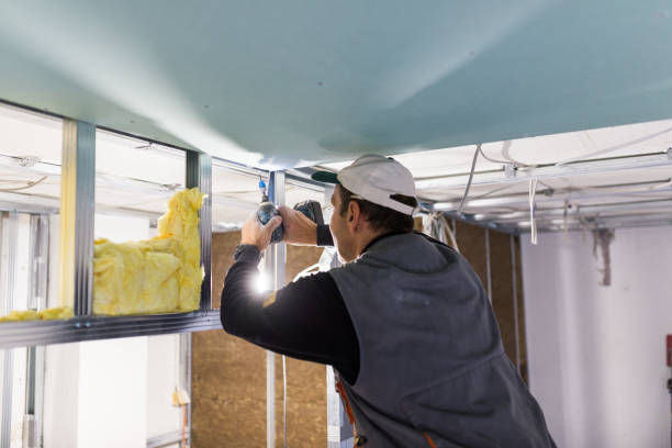 Best Local Insulation Services  in Apollo, PA