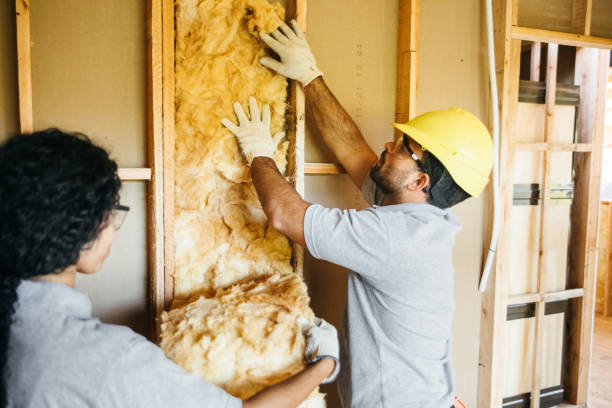 Best Attic Insulation Installation  in Apollo, PA