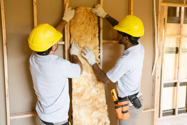 Best Local Insulation Services  in Apollo, PA