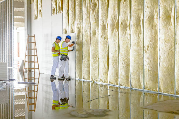 Best Crawl Space Insulation  in Apollo, PA